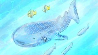 ジンベイザメの海｜Procreate