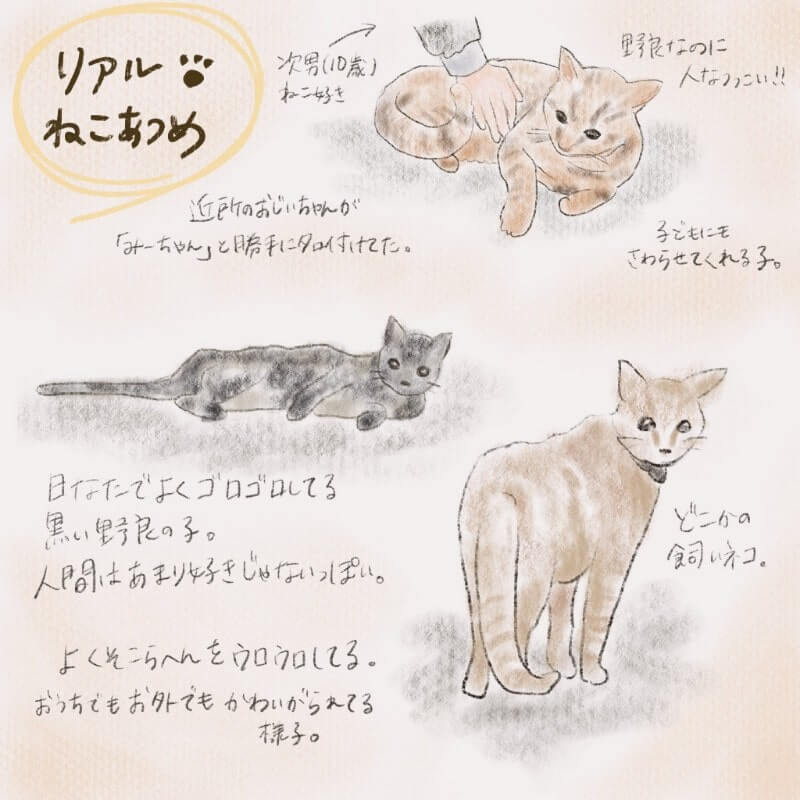 リアルねこあつめ 写真をトレースしてゆるふわイラストに Procreate シーアペイント