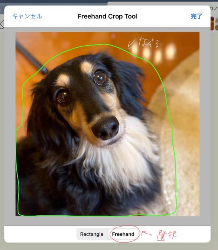 フリーハンドトリミング｜GoodNotes5